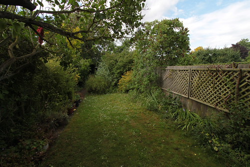 IMG_6873 - Garden shot