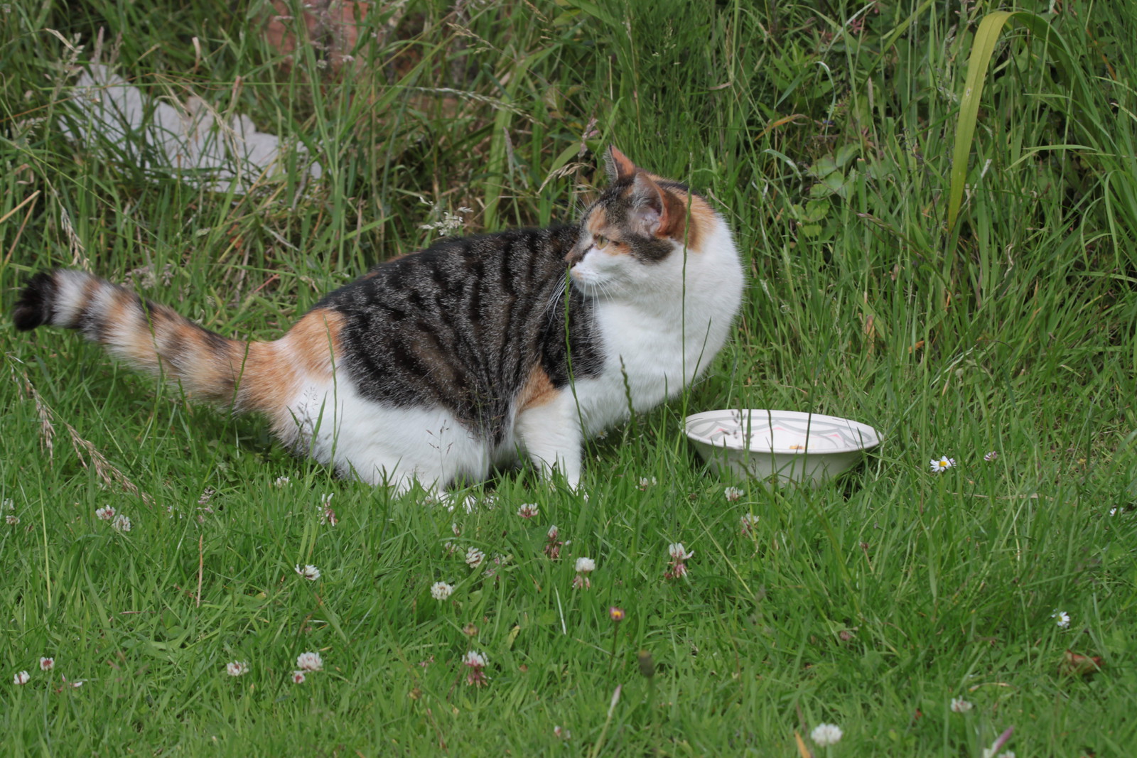 IMG_6914 - Ruby by the Dish