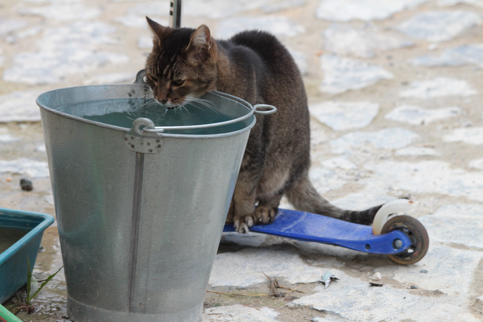 IMG_7794 - Richard and BUCKET