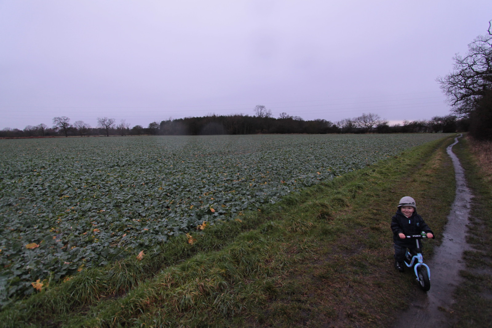 IMG_7539 - Milky Fields Forever