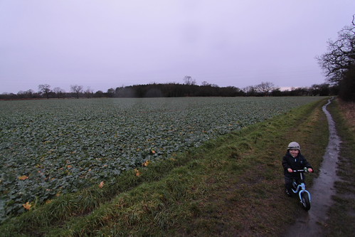 IMG_7539 - Milky Fields Forever