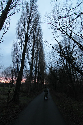 IMG_7540 - Poplar Evening Loom