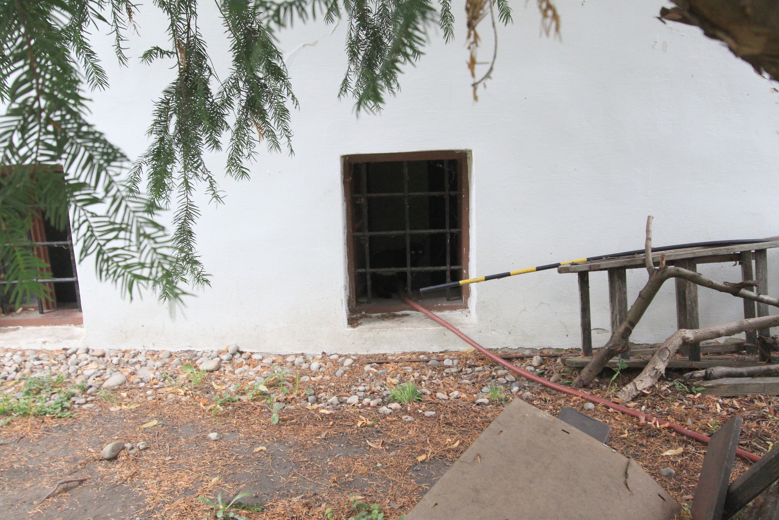 IMG_8582-gamma - Beethoven CATT II