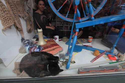 IMG_8655 - SHOPPCATT!