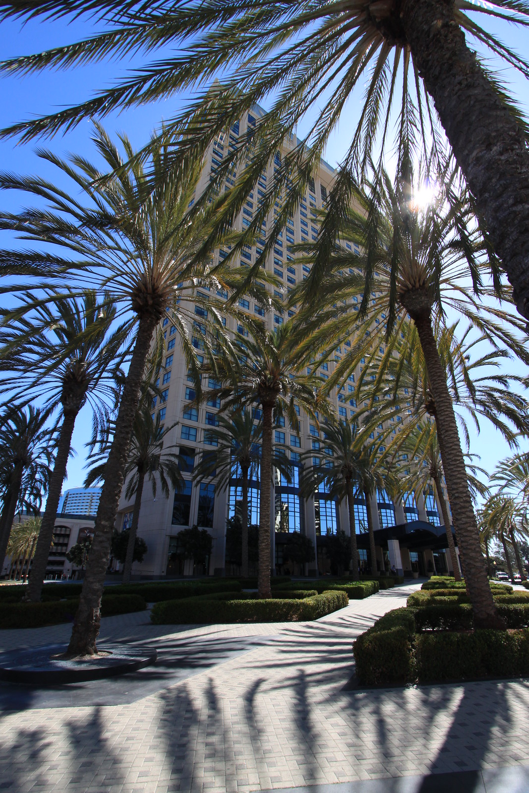 IMG_9600 - HYATT and PALMS