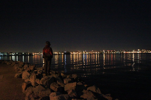 IMG_9559 - HENS-BY-THE-SHORE