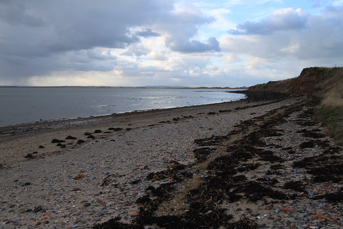IMG_9919 - Priory Shore