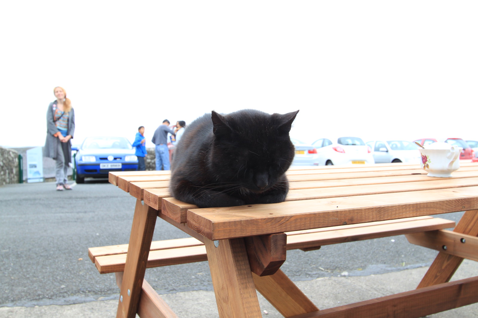 IMG_0443 - CAFFE CATT